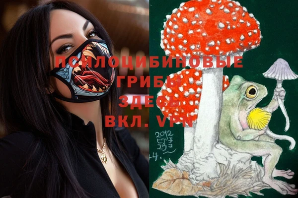 эйфоретик Вязники