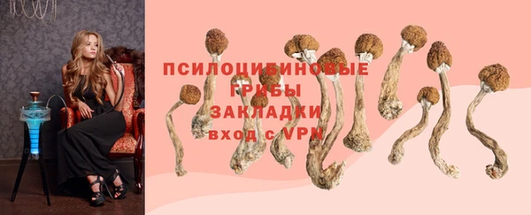 мдпв Волоколамск