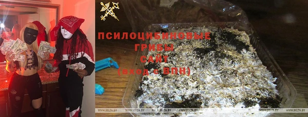 гидропоника Вяземский